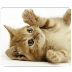 Tapis de souris personnalisé